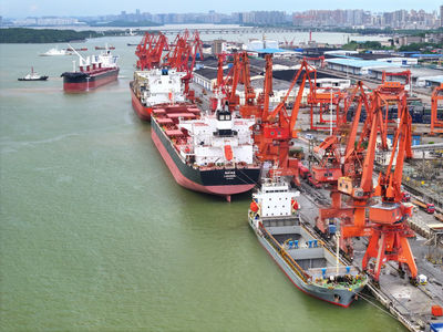 從7月數據透視中國經濟增長新動能 國內貿易活力彰顯